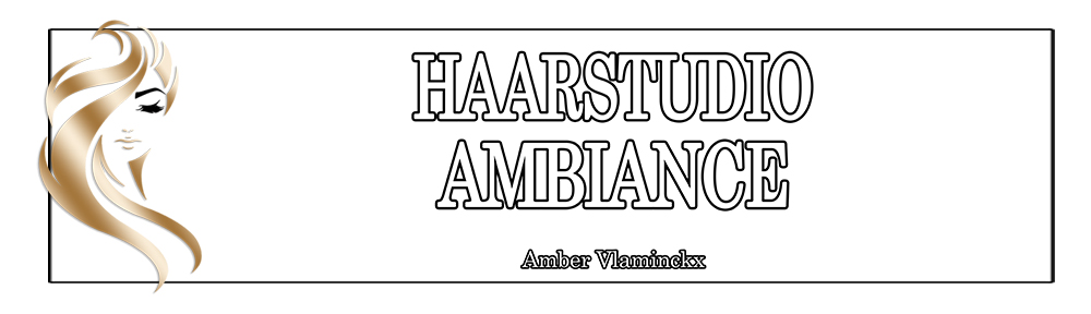 Banner Haarstudio-Ambiance